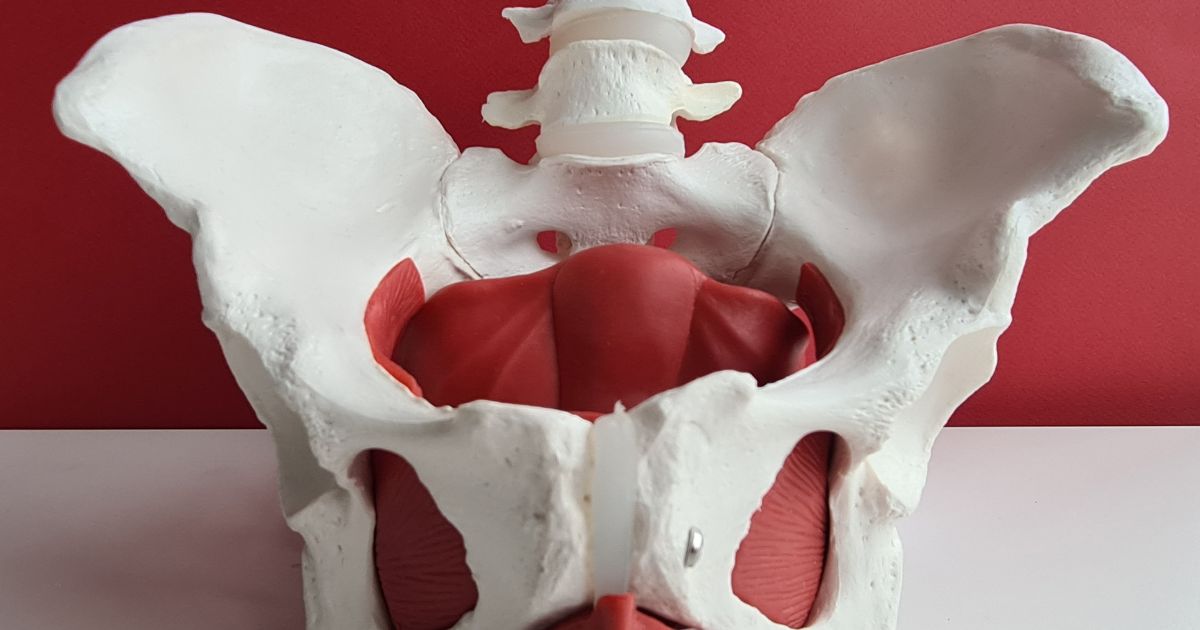 pelvic floor physiotherapy